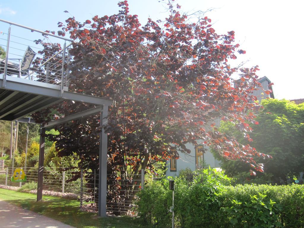 Apartment Haus Sembachtal Winterstein Экстерьер фото